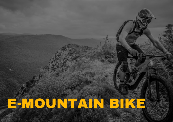 E-Mountain Bike